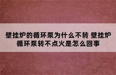 壁挂炉的循环泵为什么不转 壁挂炉循环泵转不点火是怎么回事